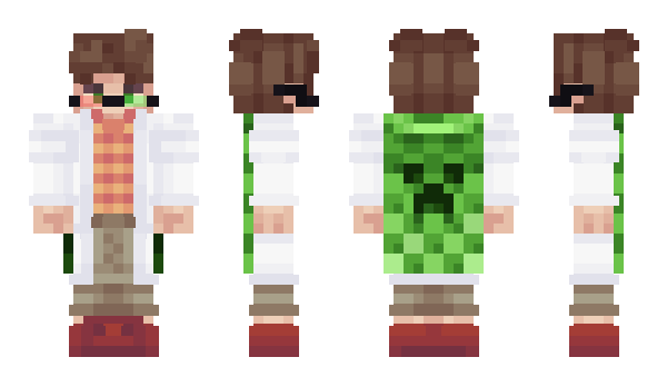 Minecraft skin OVERPACH