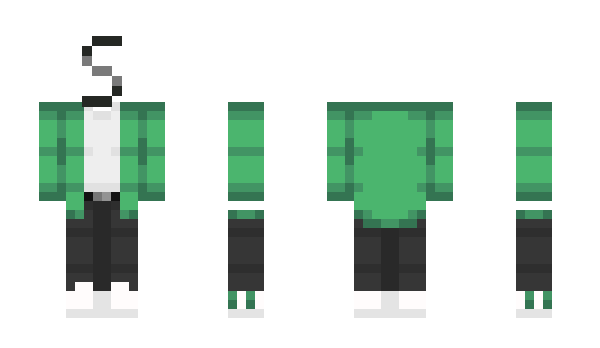 Minecraft skin Sydrinn