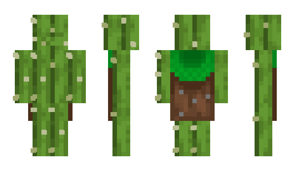 Minecraft скин по нику Fjve