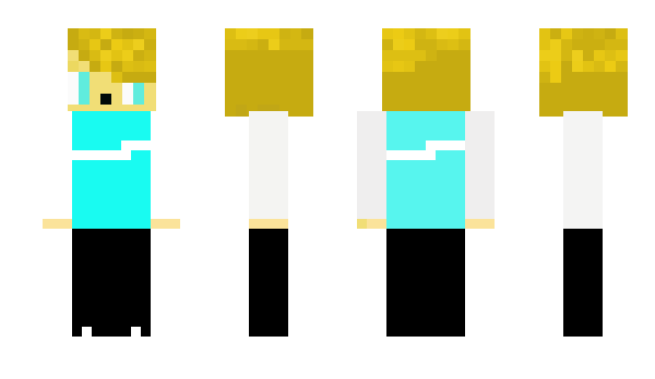 Minecraft skin nwshooter