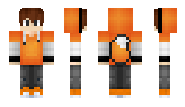 Minecraft skin ledene