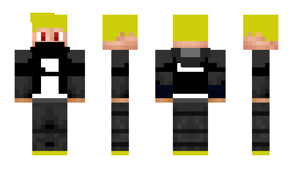 Minecraft skin http_swagger_com