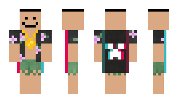 Minecraft skin metanpop