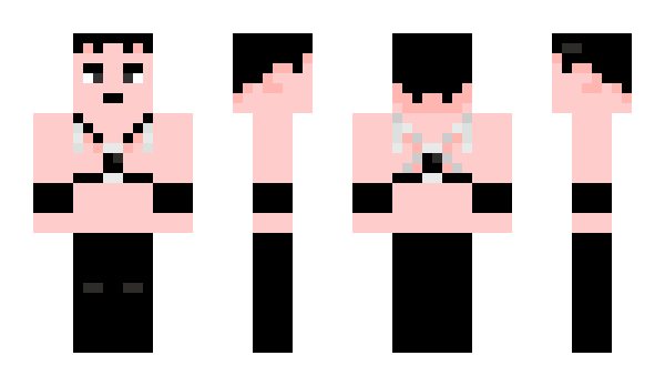 Minecraft skin sobakas