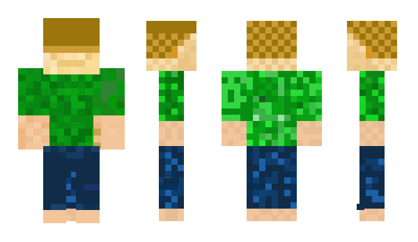 Minecraft skin Alteraner