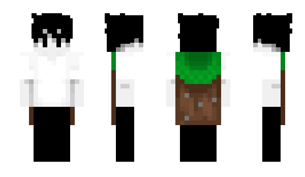 Minecraft skin Miesuke