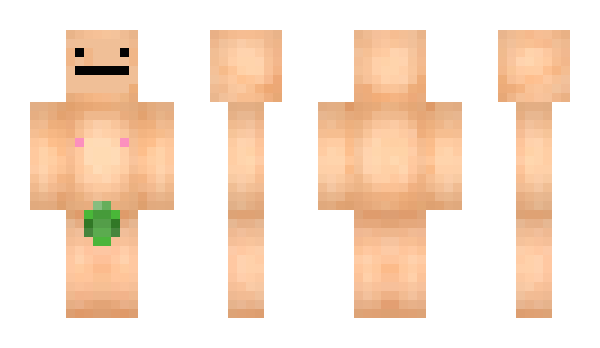 Minecraft skin Olomeister