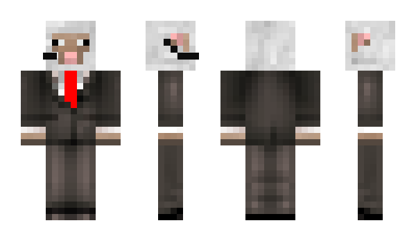 Minecraft skin Tiozer