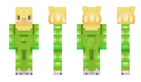 Minecraft skin Euef