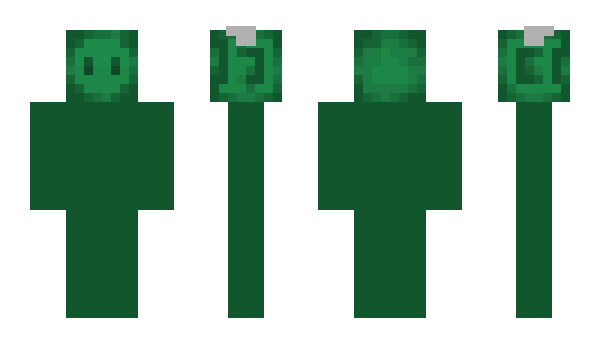 Minecraft skin seai