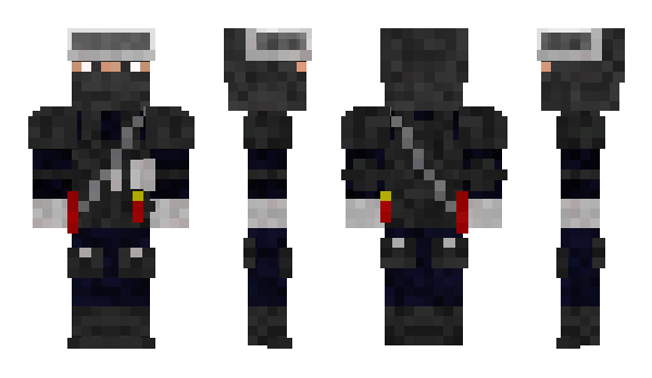 Minecraft skin SRSG