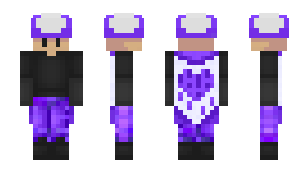 Minecraft skin mout