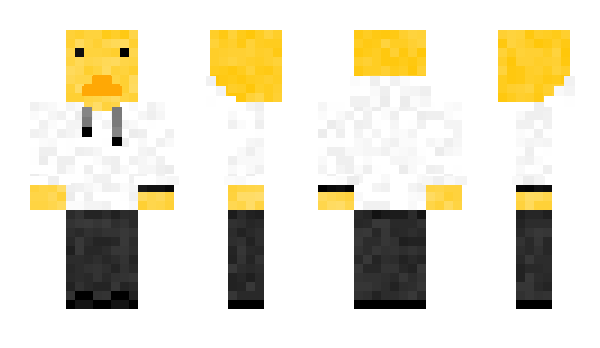 Minecraft skin LauchigeEnte