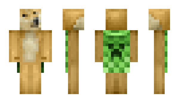 Minecraft skin Mireg