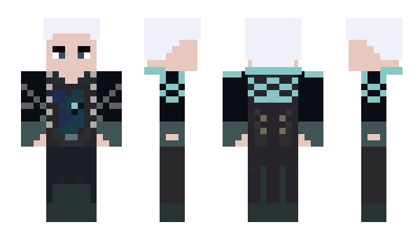 Minecraft skin V_____