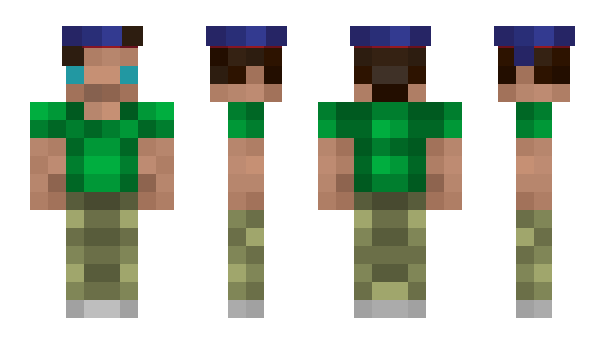 Minecraft skin robasse