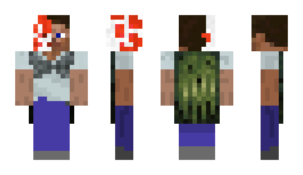 Minecraft skin canopy001