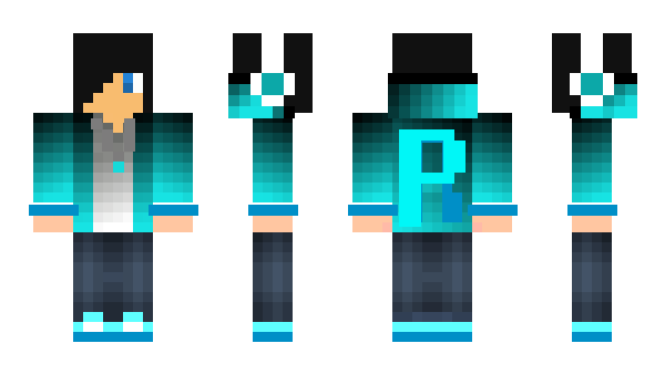 Minecraft skin rphawks