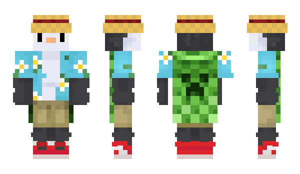 Minecraft skin Halfidi