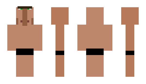 Minecraft skin HerrDerRinge