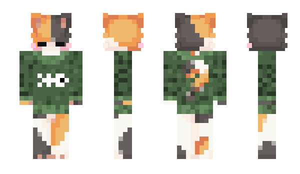 Minecraft skin oXNixXo