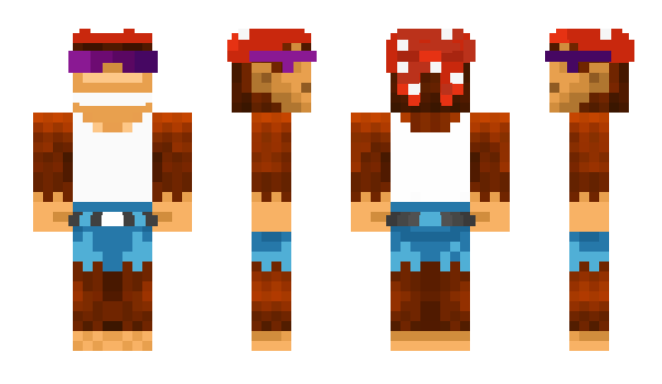 Minecraft skin WiiWillRockU