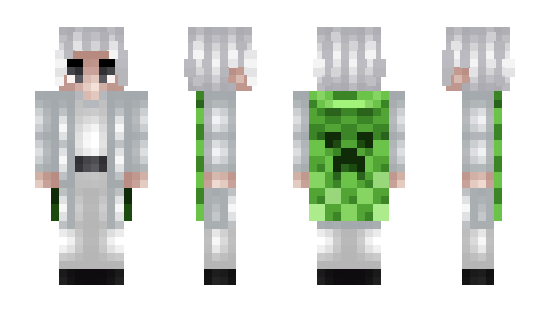 Minecraft skin akdz