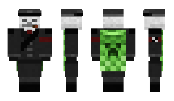 Minecraft skin vilge