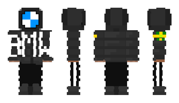 Minecraft skin Cotyase