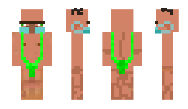 Minecraft skin DWEEB249