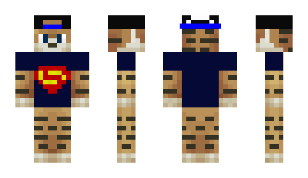 Minecraft skin BlyZzarD