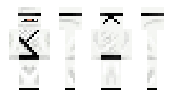 Minecraft skin SnowNinja333