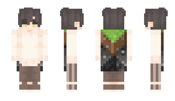 Minecraft skin Wirii