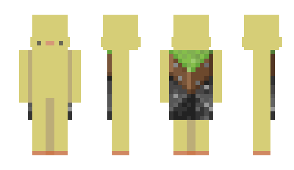 Minecraft skin FriedFr