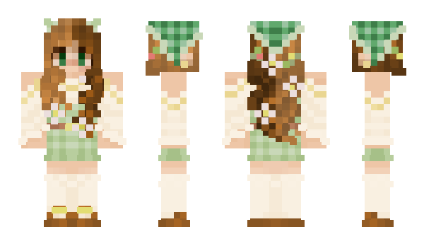 Minecraft skin Ametita