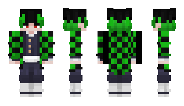 Minecraft skin einqelegt