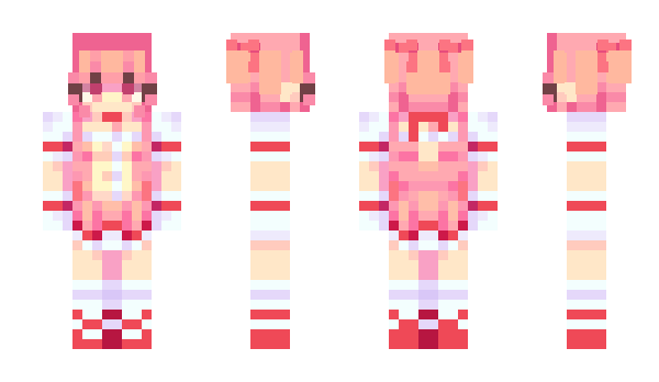 Minecraft skin looded