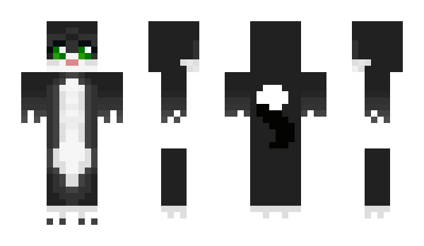 Minecraft skin HaDeSa