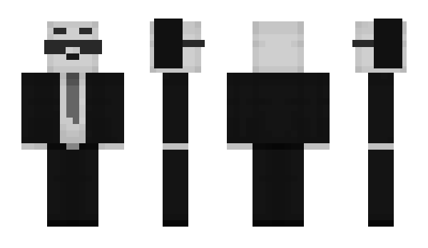 Minecraft skin tortilhaS