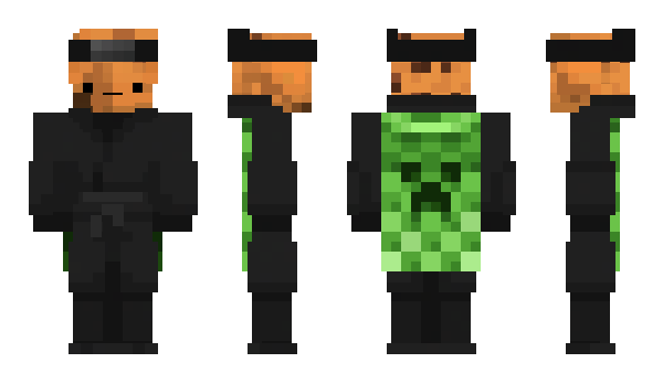 Minecraft skin Pochetnik