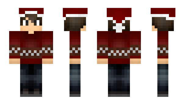 Minecraft skin WhoIsNiklas