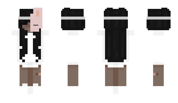 Minecraft skin Homei