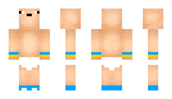 Minecraft skin DDFTW1