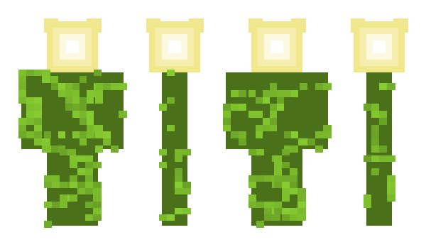 Minecraft skin Xelaju