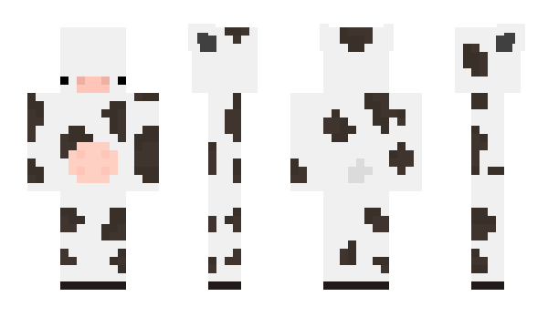 Minecraft skin 9Maxi