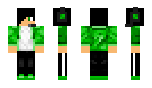 Minecraft skin thecollecter