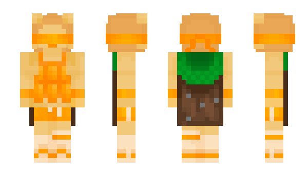 Minecraft skin CoinLion