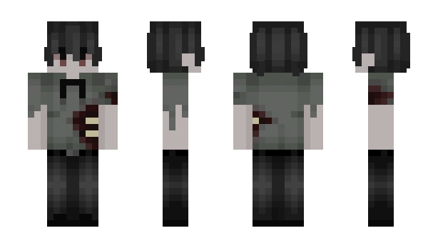 Minecraft skin THETEAM