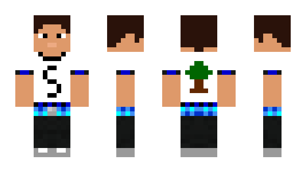 Minecraft skin strom4455