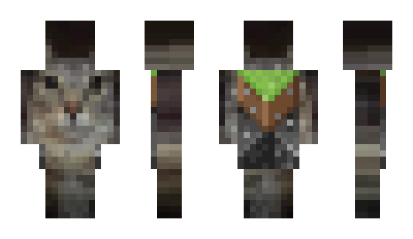 Minecraft skin pizzadevourer